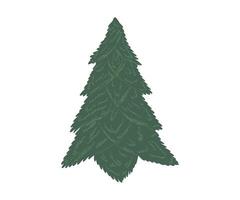 The Christmas tree is hand drawn in a flat style. Hand drawn illustration. vector