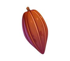 Cartoon whole cocoa bean of cacao tree seed vector