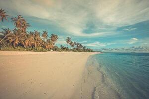 Summer exotic sandy beach with pastel colors palm trees sea waves. Retro vintage landscape shore, idyllic soft sunset. Tranquil serene lagoon bay, dream calming nature view. Exotic travel wallpaper photo