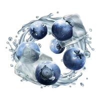 Blueberries and dynamic water splash with ice cubes vector