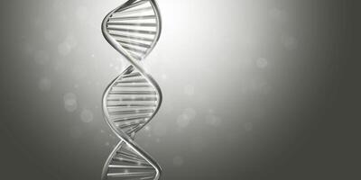 Double-stranded helix DNA model in gray color. vector