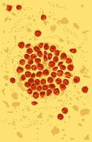 pepperoni pizza texture with cheese on yellow background vector