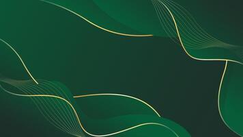 Beautiful emerald green luxury wave background with gold lines. vector