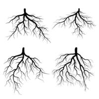 black tree roots collection vector