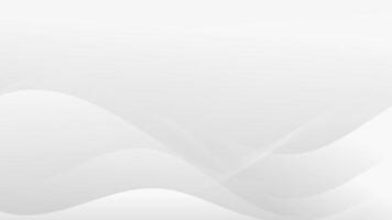 Abstract White Background With Curved Lines vector