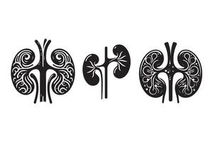 Human Kidney Silhouette Illustration Design vector
