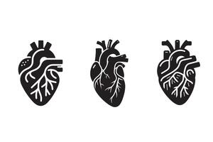 Human Cardiac Muscle Art silhouette vector