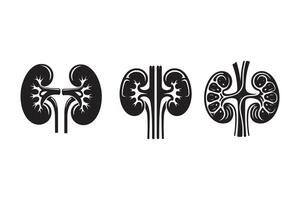 Human Kidney Silhouette Illustration vector