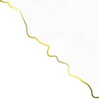 White background with golden line. Abstract topographic map. illustration. vector