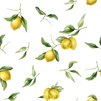 Seamless pattern with watercolor illustration of Lemon or Lime. Hand painted lemon branche with green leaves on white isolated background for juice label or icon. png