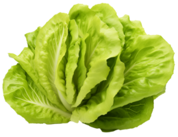A single head of vibrant lettuce, neatly cut out and placed on a transparent background, ready for digital manipulation png