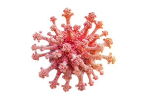 Close-up view of a molecular structure, showcasing intricate details and vibrant colors, representing scientific and biological concepts. png