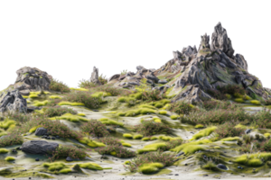 Rocky terrain with patches of green moss and small shrubs, creating a natural landscape with rugged rock formations and lush vegetation. png