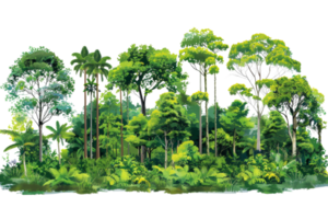 The lush green foliage of the dense rainforest creates a vibrant and refreshing atmosphere, providing a habitat for diverse wildlife and offering a serene escape into the heart of png