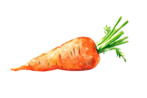 This is a watercolor painting of a carrot. The carrot is orange and has green leaves. It is isolated on a transparent background. png