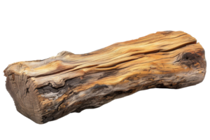 A high-quality image of a single piece of natural wooden log with detailed texture. Perfect for design uses in woodworking, crafting, and decor. png
