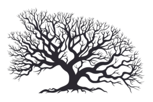 black tree with a lot of branches on a transparent background. png