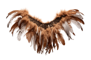 A feathery winged garment with brown and white feathers. The feathers are arranged in a way that creates a sense of movement and flow. Scene is one of elegance and grace png