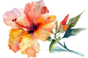 A watercolor painting of a flower with a stem and leaves. The flower is orange and pink, and the stem is green. The painting has a serene and calming mood png