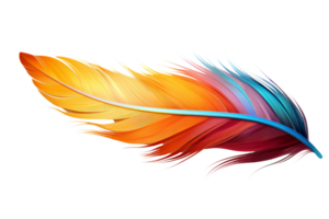 A colorful feather with a blue tip. The feather is long and has a rainbow of colors. It is a beautiful and vibrant image that captures the essence of nature and the beauty of birds png