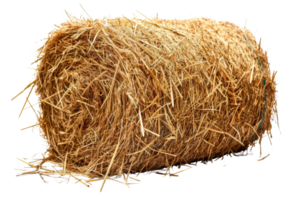 Large, round hay bale isolated on transparent background. perfect for agricultural, farming, and rustic-themed projects or design elements. png