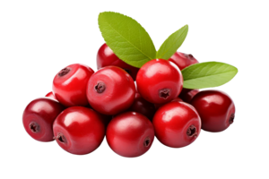 A bunch of red berries with green leaves on top. The berries are small and round, and they are piled on top of each other. The leaves are green and add a pop of color to the image png