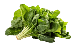 A bunch of green spinach leaves are piled on top of each other. The leaves are fresh and vibrant, and they look healthy and nutritious. Concept of abundance and vitality png