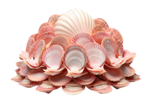A pile of pink shells arranged in a flower shape. The shells are of different sizes and colors, creating a visually appealing and unique display. The arrangement evokes a sense of natural beauty png