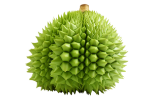 A green fruit with a lot of spikes on it. It looks like a durian png