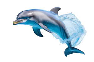 A dolphin is leaping out of the water, with its mouth open and its tail flapping. Concept of freedom and joy, as the dolphin is in its natural habitat and enjoying the water png