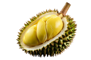 A yellow fruit with a green stem and a green tip. The durian is cut open and has a spiky exterior png