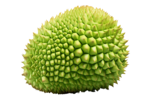 A green fruit with a lot of spikes on it. It looks like a durian. The spikes are all over the fruit, making it look like a prickly ball png