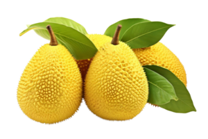 Three yellow fruits with green leaves on top. The fruits are round and have a bumpy texture png