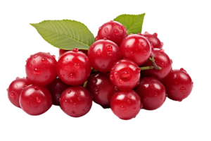 A bunch of red cherries with green leaves on top. The cherries are shiny and wet png