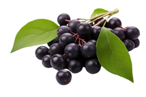 A bunch of black berries with green leaves. The berries are small and round. The leaves are green and have a shiny appearance png