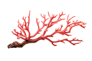 A red coral branch with pink and white spots. The branch is long and thin, and it looks like it's made of plastic png