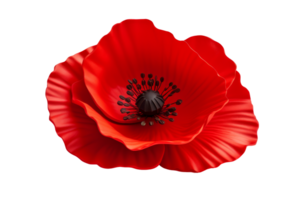 A red poppy flower with a black center. The flower is the color of blood and is a symbol of remembrance png