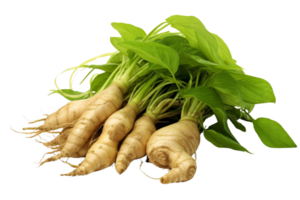 A bunch of small, green, leafy vegetables with a few yellowish roots. The vegetables are arranged in a pile, with some of them overlapping each other. Scene is fresh and healthy png