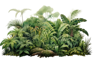 A lush green jungle with many trees and plants. The jungle is full of life and is a beautiful representation of nature png