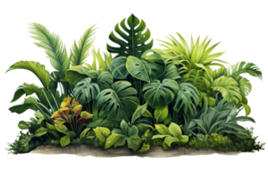 A lush green jungle with a variety of plants and trees. The image has a vibrant and lively mood, with the plants and trees creating a sense of abundance and growth png