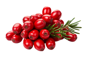A bunch of red berries with a green leaf on top. The berries are small and round, and they are all clustered together png