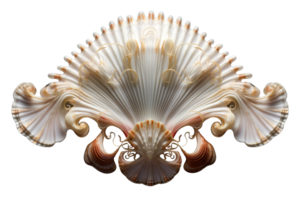 A large, ornate shell with a gold and brown design. The shell is white and has a lot of detail, including a pattern of swirls and a gold trim. The shell is the main focus of the image png