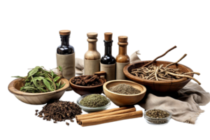 A variety of herbs and spices are displayed on a table. The herbs include basil, parsley, and mint, while the spices include cinnamon, nutmeg, and cloves png