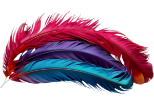 A colorful feather with a blue, red, and purple stripe. The feather is long and has a pointed tip png