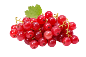 A bunch of red grapes with a leaf on top. The grapes are ripe and ready to eat png