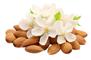 A bunch of almonds and flowers are on top of each other. The image has a peaceful and calming mood, as the combination of almonds png