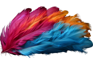 A colorful feather with a blue and orange stripe. The feather is vibrant and eye-catching, with a mix of colors that create a sense of energy and excitement png