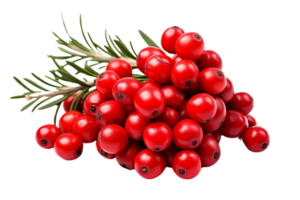A vibrant bundle of red berries and fresh greenery, offering a bright and festive touch. Ideal for seasonal decor and culinary inspiration. png