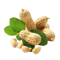 Peanuts and leaves isolate on transparency background png
