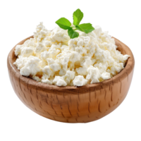 cottage cheese front view full length isolate on transparency background png